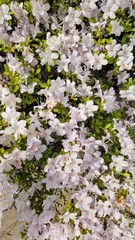User post image