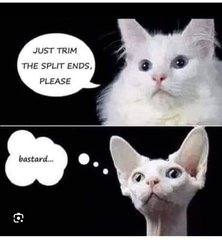 User post image