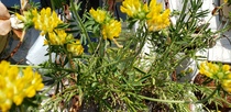 User post image