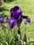 User post image