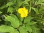 User post image