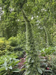 User post image