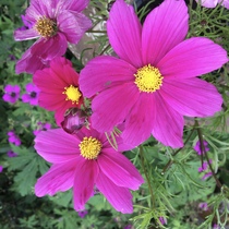 User post image