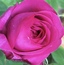 User post image