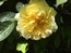 User post image