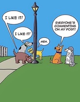 User post image