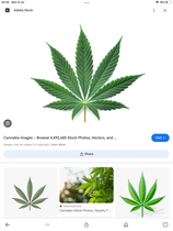 User post image