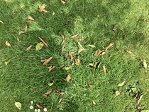 User post image