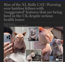 User post image