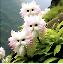 User post image