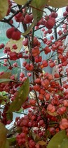 User post image