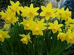 User post image