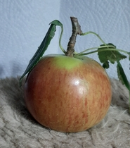 User post image