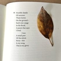 User post image