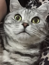 User post image