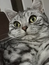 User post image