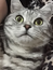 User post image