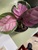 User post image