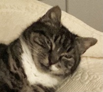 User post image