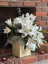 User post image