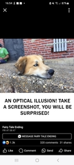 User post image