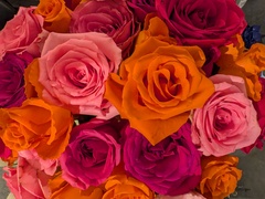 User post image