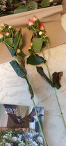 User post image