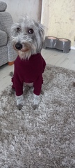 User post image