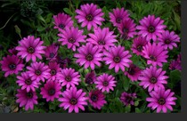 User post image