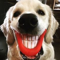 User post image