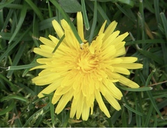 User post image