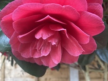 User post image