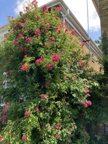 User post image