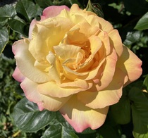 User post image