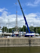 User post image