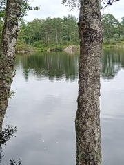 User post image