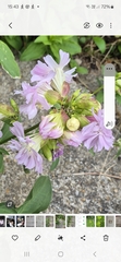 User post image