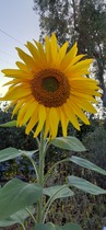User post image