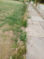 User post image