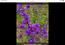 User post image