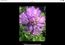 User post image