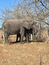User post image