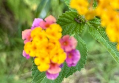 User post image