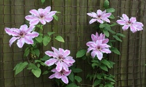 User post image