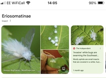 User post image