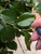 User post image