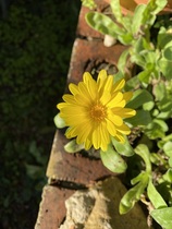 User post image