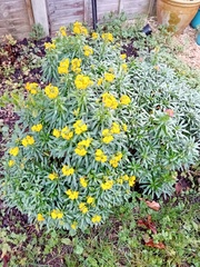 User post image
