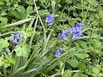 User post image