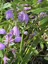 User post image